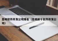 昆明软件开发公司排名（昆明前十软件开发公司）